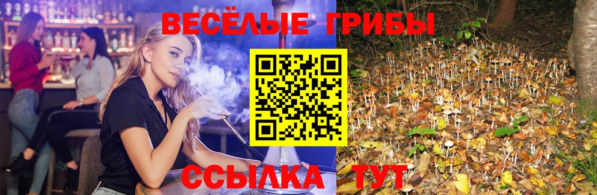 Псилоцибиновые грибы ЛСД  Вход с VPN  Джанкой 